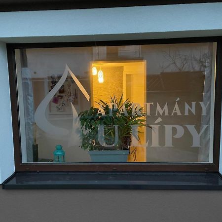 Apartmany U Lipy Tatobity Exteriör bild