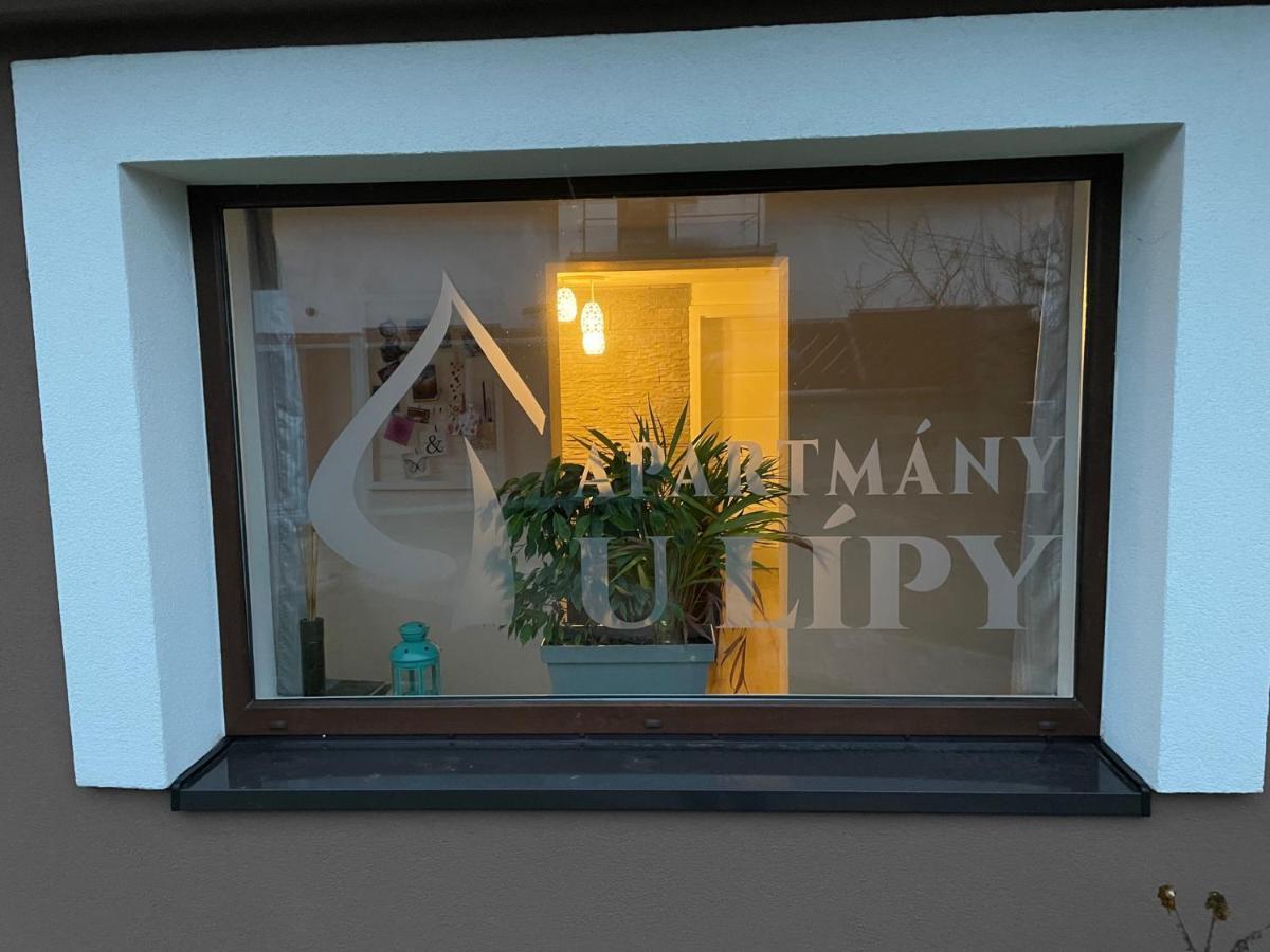 Apartmany U Lipy Tatobity Exteriör bild